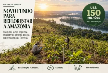 Mombak lança segundo fundo para reflorestamento na Amazônia e mira US$ 150 milhões