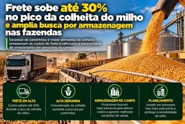 Frete sobe até 30% no pico da colheita do milho e amplia busca por armazenagem nas fazendas