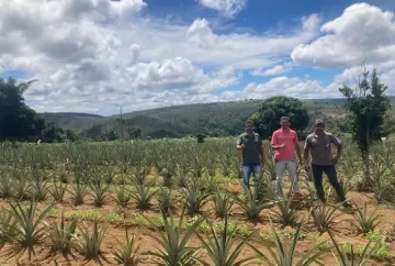 Silicato é usado em mais de 60 culturas e beneficia 2 mil produtores em Minas Gerais