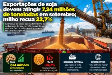 Exportações de soja devem atingir 7,24 milhões de toneladas em setembro; milho recua 22,7%