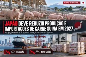 Japão deve reduzir produção e importações de carne suína em 2027, aponta USDA