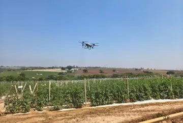 Drones na lavoura de tomate: IAC e Irmãos Andrade avaliam aplicação de agroquímicos