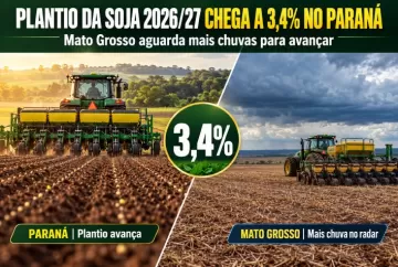 Plantio da soja 2026/27 chega a 3,4% no Paraná; Mato Grosso aguarda mais chuvas