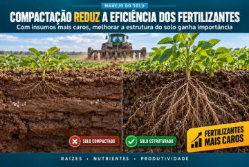 Fertilizantes mais caros reforçam importância de combater a compactação do solo