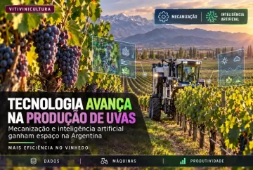 Tecnologia na produção de uvas: mecanização e inteligência artificial avançam na Argentina