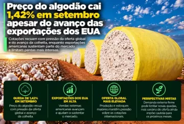 Preço do algodão cai 1,42% em setembro apesar do avanço das exportações dos EUA