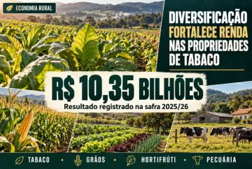 Diversificação gera R$ 10,35 bilhões em propriedades de tabaco na safra 2025/26