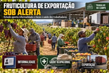 Fruticultura de exportação: estudo aponta informalidade e riscos à saúde dos trabalhadores