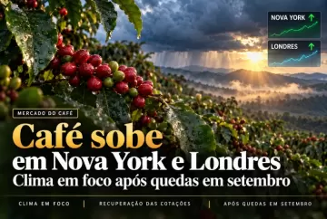 Café sobe em Nova York e Londres com clima em foco após quedas em setembro