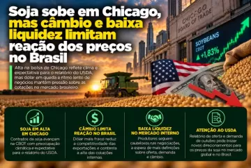 Soja sobe em Chicago, mas câmbio e baixa liquidez limitam reação dos preços no Brasil