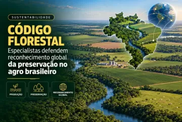 Código Florestal: especialistas defendem reconhecimento global da preservação no agro brasileiro