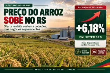 Preço do arroz sobe 6,18% em setembro no RS com oferta restrita e negócios lentos