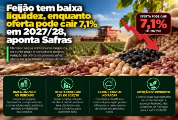 Feijão tem baixa liquidez, enquanto oferta pode cair 7,1% em 2027/28, aponta Safras