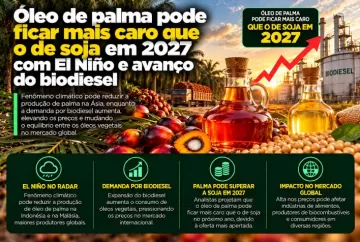 Óleo de palma pode ficar mais caro que o de soja em 2027 com El Niño e avanço do biodiesel