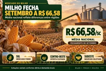 Preço do milho fecha setembro a R$ 66,58 na média nacional, com diferenças entre regiões