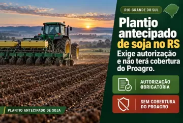Plantio antecipado de soja no RS exige autorização e não terá cobertura do Proagro