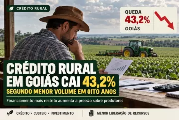 Crédito rural em Goiás cai 43,2% e registra segundo menor volume em oito anos