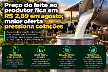 Preço do leite ao produtor fica em R$ 2,89 em agosto; maior oferta pressiona cotações