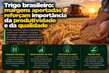 Trigo brasileiro: margens apertadas reforçam importância da produtividade e da qualidade