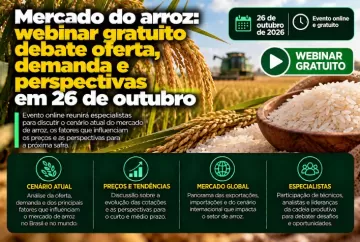 Mercado do arroz: webinar gratuito debate oferta, demanda e perspectivas em 26 de outubro