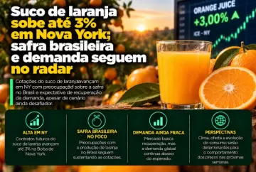 Suco de laranja sobe até 3% em Nova York; safra brasileira e demanda seguem no radar