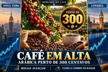 Café sobe em Nova York e Londres; arábica se aproxima de 300 centavos