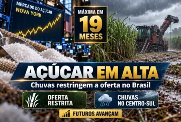 Açúcar atinge máxima de 19 meses em Nova York; chuvas restringem oferta no Brasil