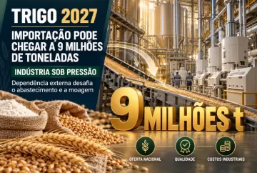 Importação de trigo pode chegar a 9 milhões de toneladas e desafia indústria para 2027
