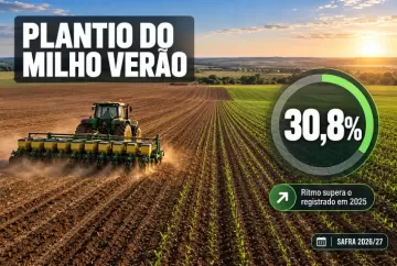 Plantio do milho verão 2026/27 chega a 30,8% e supera ritmo de 2025