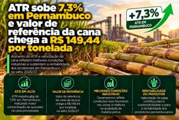 ATR sobe 7,3% em Pernambuco e valor de referência da cana chega a R$ 149,44 por tonelada