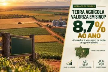 Terra agrícola valoriza 8,7% ao ano em Sinop e reduz vantagem de custo do agro brasileiro