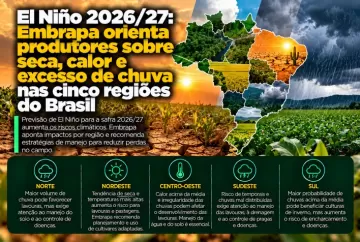 El Niño 2026/27: Embrapa orienta produtores sobre seca, calor e excesso de chuva nas cinco regiões