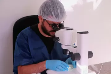 UFV produz primeiros embriões in vitro de jumentos Nordestinos, segundo pesquisadores