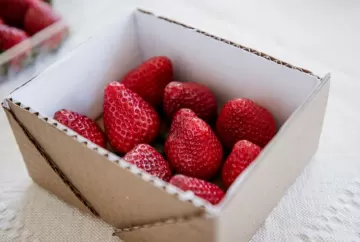 Embalagem de papelão com composto do orégano triplica conservação de morangos em estudo