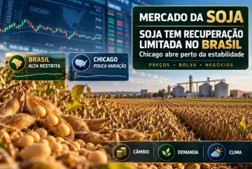 Soja tem recuperação limitada no Brasil e abre perto da estabilidade em Chicago