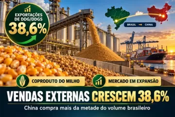 Exportações de DDG/DDGS crescem 38,6% e China compra mais da metade do volume brasileiro