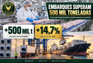 Exportações de carne de frango superam 500 mil toneladas em setembro e receita cresce 14,7%