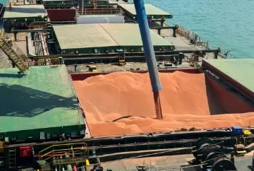 Exportações de sorgo à China ampliam oportunidades para a safrinha brasileira