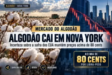 Algodão cai em Nova York, mas incerteza sobre safra dos EUA sustenta preços acima de 80 cents