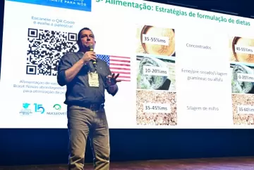 Nutrição de vacas leiteiras: pesquisas apontam avanços no uso de amido e fibra