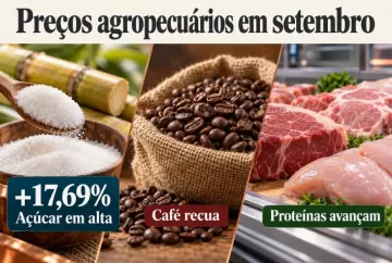 Preços agropecuários em setembro: açúcar sobe 17,69%, café recua e proteínas avançam