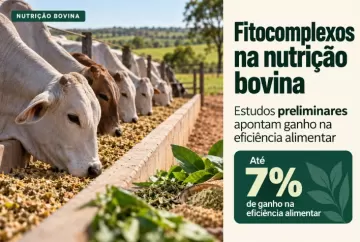 Fitocomplexos na nutrição bovina: estudos preliminares apontam ganho de até 7% na eficiência alimentar