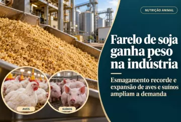 Farelo de soja ganha peso na indústria com esmagamento recorde e expansão de aves e suínos