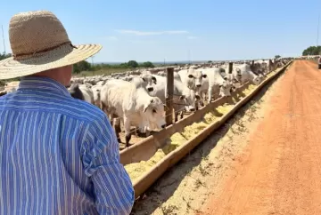 Arazyme chega ao Brasil com tecnologia enzimática para melhorar eficiência da alimentação animal