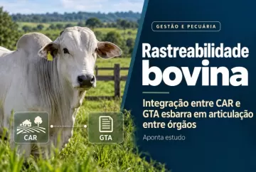Rastreabilidade bovina: integração entre CAR e GTA esbarra em articulação entre órgãos, aponta estudo