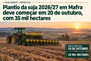 Plantio da soja 2026/27 em Mafra deve começar em 20 de outubro, com 35 mil hectares