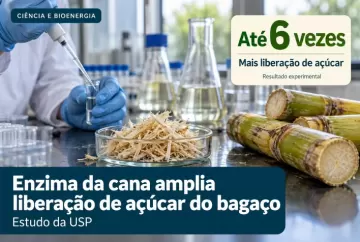 Enzima da cana aumenta em até seis vezes a liberação de açúcar do bagaço em estudo da USP