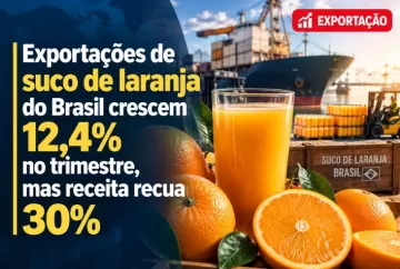 Exportações de suco de laranja do Brasil crescem 12,4% no trimestre, mas receita recua 30%
