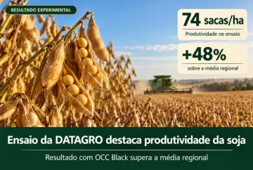 Ensaio da DATAGRO aponta produtividade de 74 sacas de soja por hectare com OCC Black e ganho de 48% sobre a média regional