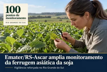 Emater/RS-Ascar amplia monitoramento da ferrugem asiática da soja para 100 pontos no Rio Grande do Sul